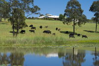 Book Nabiac Accommodation Vacations New Castle Tourism New Castle Tourism
