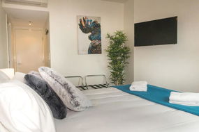 Book Brisbane Accommodation New Castle Tourism New Castle Tourism