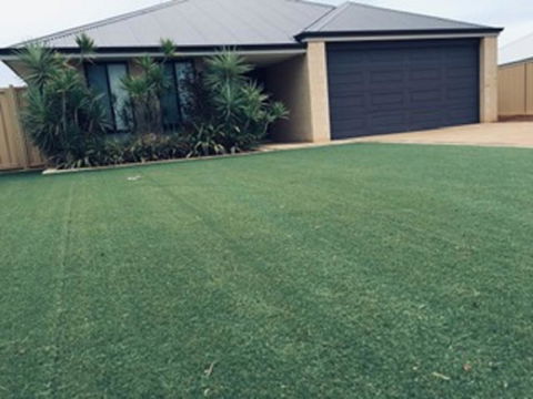 14Rosapark House - New Castle Tourism 0