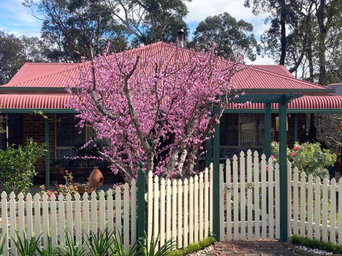Blue Gum Cottage On Bay - New Castle Tourism 1