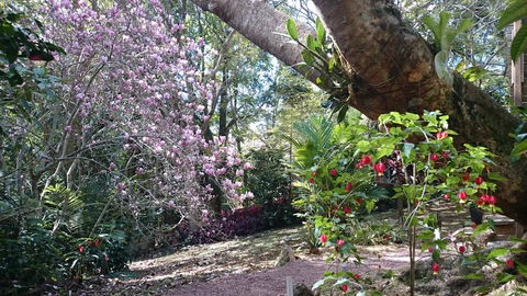 305 Montville - The Artist's Cottage - Newcastle Accommodation 3
