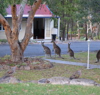 31 The Rocks - New Castle Tourism