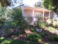 Book Irymple Accommodation Vacations New Castle Tourism New Castle Tourism