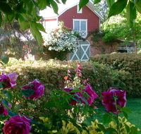 A Country Barn Retreat - Newcastle Accommodation