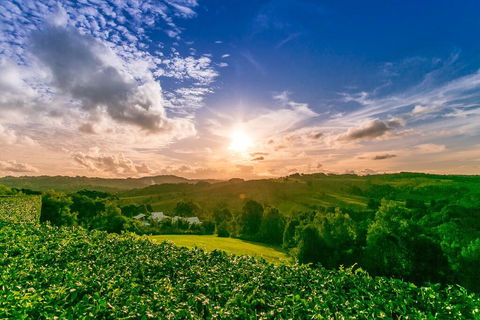 A PERFECT STAY - Byron's Brae - New Castle Tourism 3