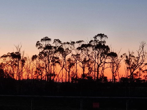 Farmstay@Morgans - Newcastle Accommodation 0