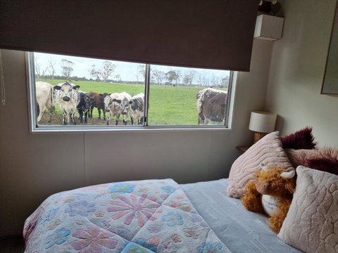 Farmstay@Morgans - Newcastle Accommodation 3