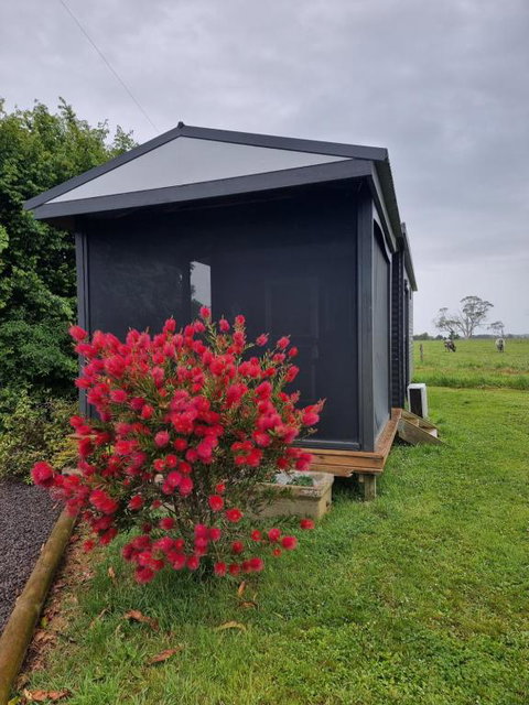 Farmstay@Morgans - Newcastle Accommodation 4