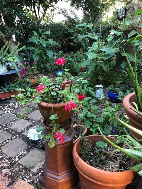 Historic Secluded Garden Cottage - New Castle Tourism 2