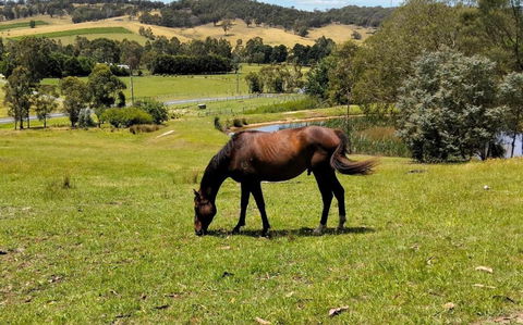 Honeycomb Hill Of Yarra Valley - New Castle Tourism 3
