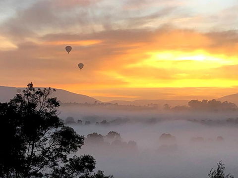 Honeycomb Hill Of Yarra Valley - New Castle Tourism 1