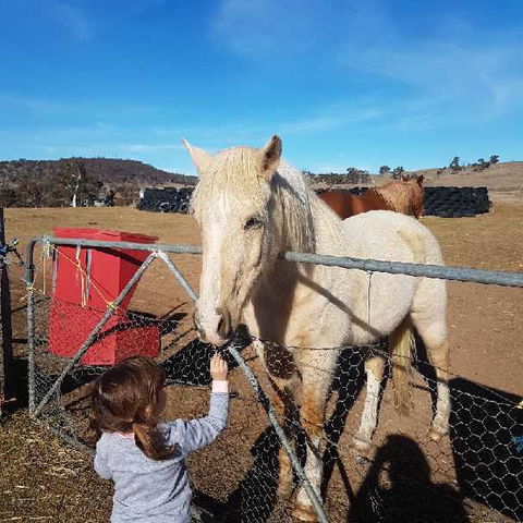 Alpine Country Motel - Newcastle Accommodation 3