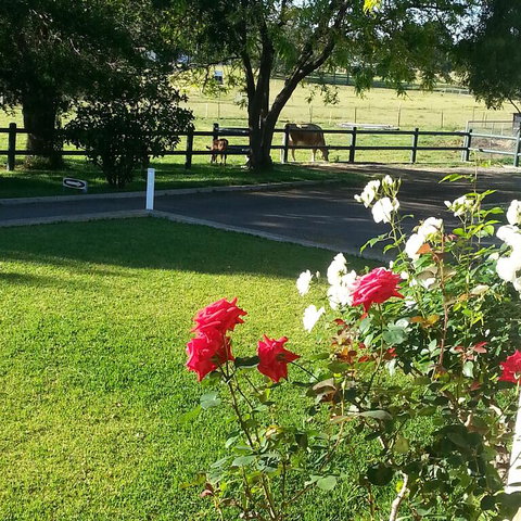 Appin Homestay B & B - New Castle Tourism 3