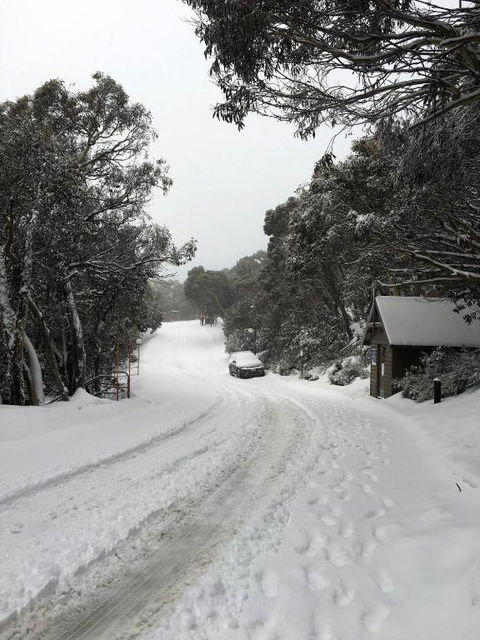 MAGNIFICENT SKIING ON MOUNT BULLER - Newcastle Accommodation 3