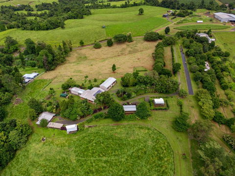 Mena Creek Flower House - New Castle Tourism 1