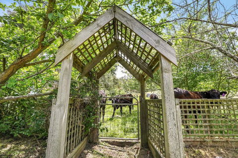 Mount Bolton Retreat - Newcastle Accommodation 2