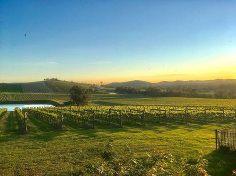 Mount Hope Estate Vineyard - New Castle Tourism 0