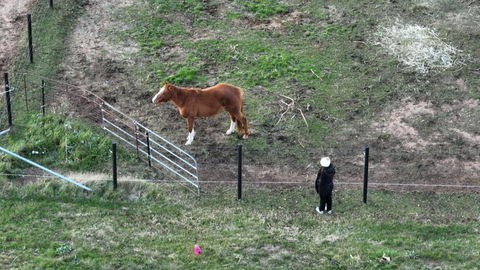 Myrtle At Lexington Park - New Castle Tourism 1