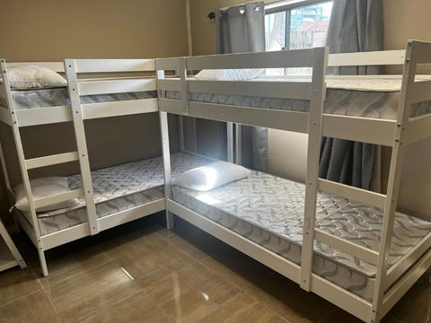 Palm Hamilton Backpacker - Newcastle Accommodation 3