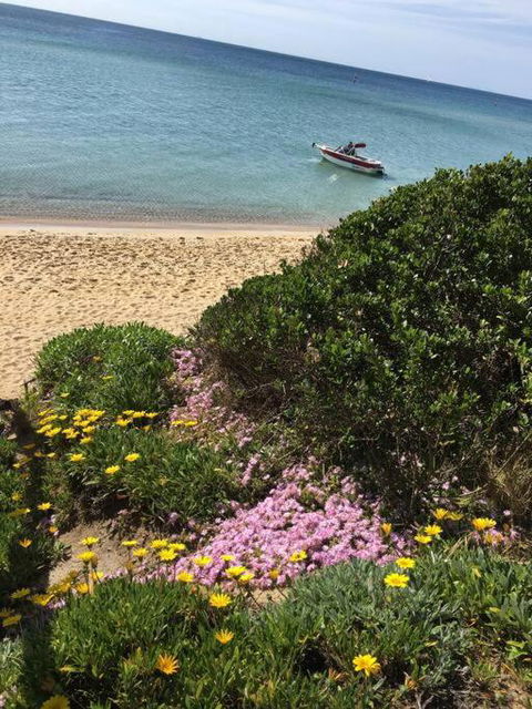 Quiet, Luxurious Guest House - Couples Retreat - New Castle Tourism 1