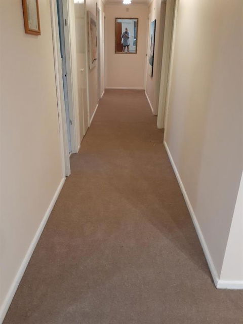 QUIET PROPERTY BY THE RIVER - Newcastle Accommodation 2
