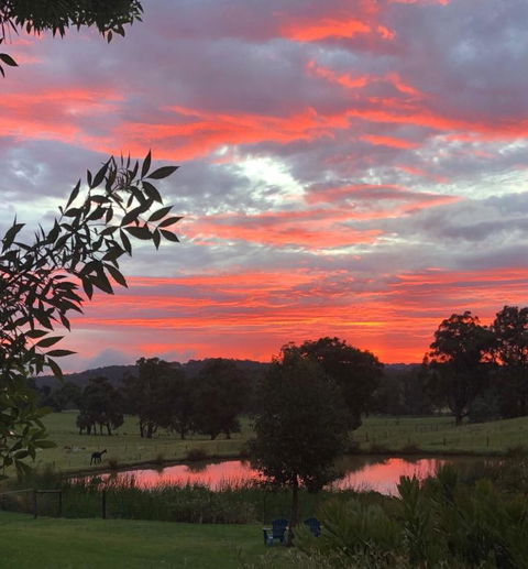 Raynella Alpaca Farmstay - New Castle Tourism 2