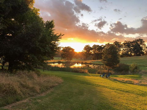 Raynella Alpaca Farmstay - New Castle Tourism 1