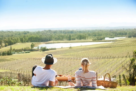 Audrey Wilkinson Vineyard - Newcastle Accommodation 0