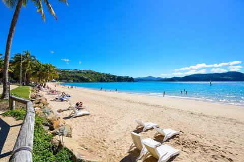 Beachfront Hamilton Island - Newcastle Accommodation 2