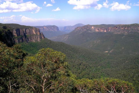 Ribbon Gum Lodge - Newcastle Accommodation 1