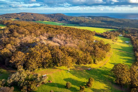 Salt The Tiny Cabin In Denmark - New Castle Tourism 3