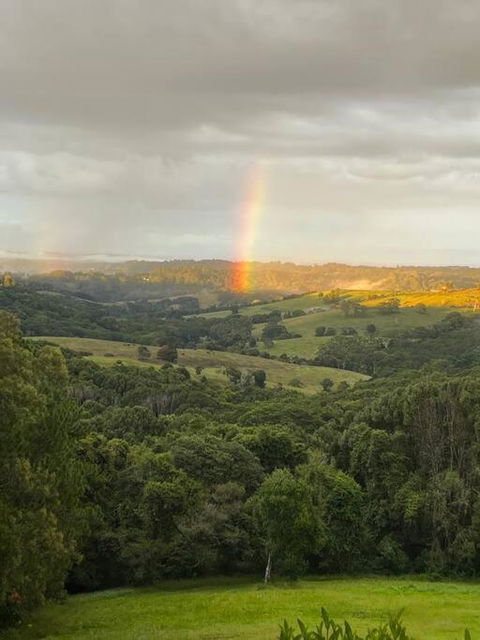 Sanctuary In Luscious Green Hills Of Coorabell - New Castle Tourism 2