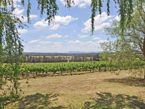 Beggars Bridge Vineyard Homestead W/ Pool + Wifi + Tennis + Vineyard - Newcastle Accommodation 3