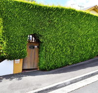 Belton Apartments - The Studio - Newcastle Accommodation