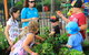 BIG4 Koala Shores Holiday Park - thumb 0