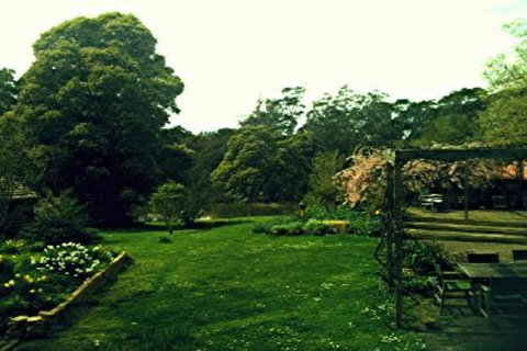 Birdwing Bed And Breakfast Weegena - Newcastle Accommodation 0