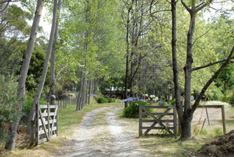 Birdwing Bed And Breakfast Weegena - Newcastle Accommodation 3