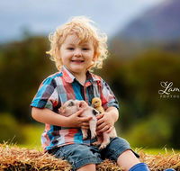 Blackwattle Farm - Newcastle Accommodation