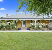 Blue Wren - Newcastle Accommodation