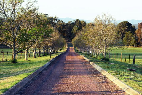 Blueberry Hill Vineyard Villa - Newcastle Accommodation 0