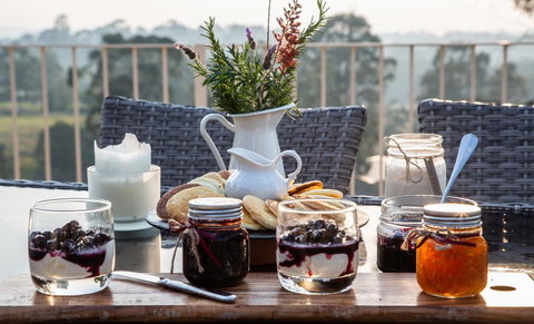 Blueberry Hills On Comleroy - Newcastle Accommodation 2