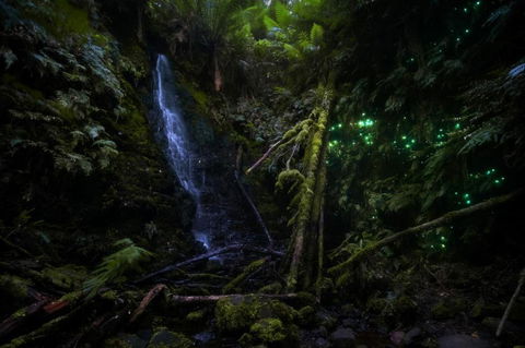 The Source, Otways - New Castle Tourism 1