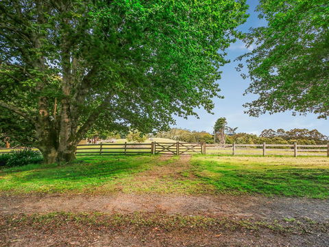 The Source, Otways - New Castle Tourism 3