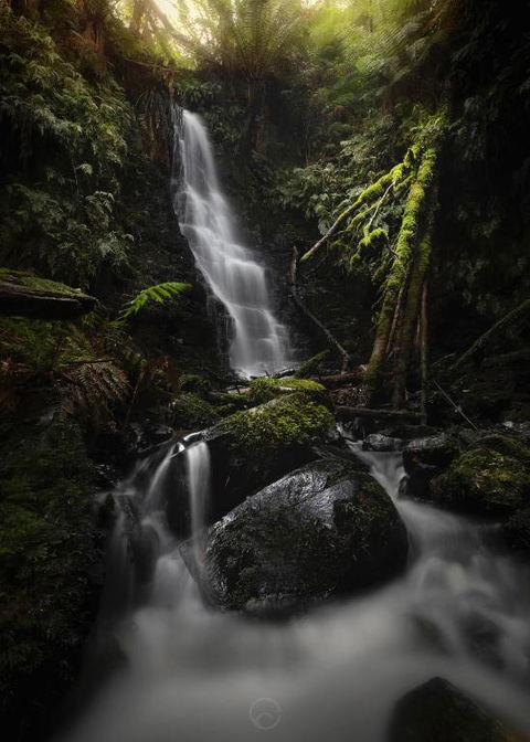 The Source, Otways - New Castle Tourism 0