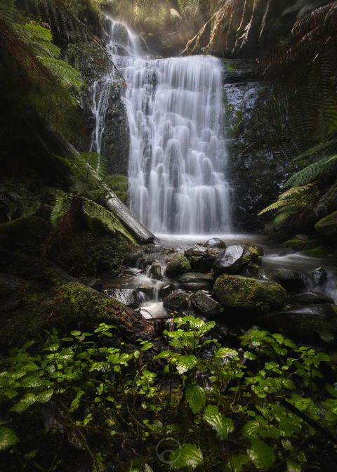 The Source, Otways - New Castle Tourism 2