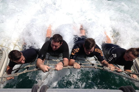 Cruise In Moreton Bay Marine Park And Moreton Island - Newcastle Accommodation 0