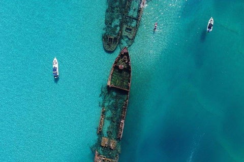 Cruise In Moreton Bay Marine Park And Moreton Island - Newcastle Accommodation 1