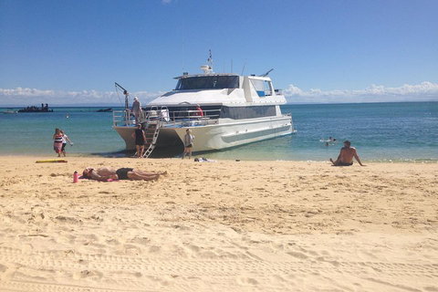 Cruise In Moreton Bay Marine Park And Moreton Island - Newcastle Accommodation 4