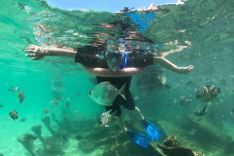 Cruise In Moreton Bay Marine Park And Moreton Island - Newcastle Accommodation 5