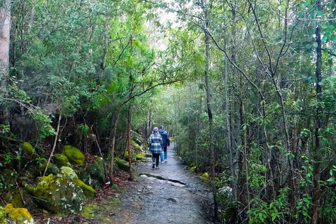 Kunanyi/Mt Wellington Tour & Hobart Hop-On Hop-Off Bus - Newcastle Accommodation 1